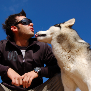 Humanos, amenaza viral latente para los animales