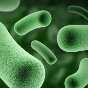 Hallan bacteria amazónica con propiedades similares a las de la quimioterapia