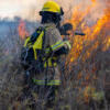 Incendios forestales activos han consumido 125 hectáreas en Veracruz