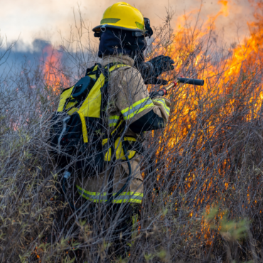 Incendios forestales activos han consumido 125 hectáreas en Veracruz