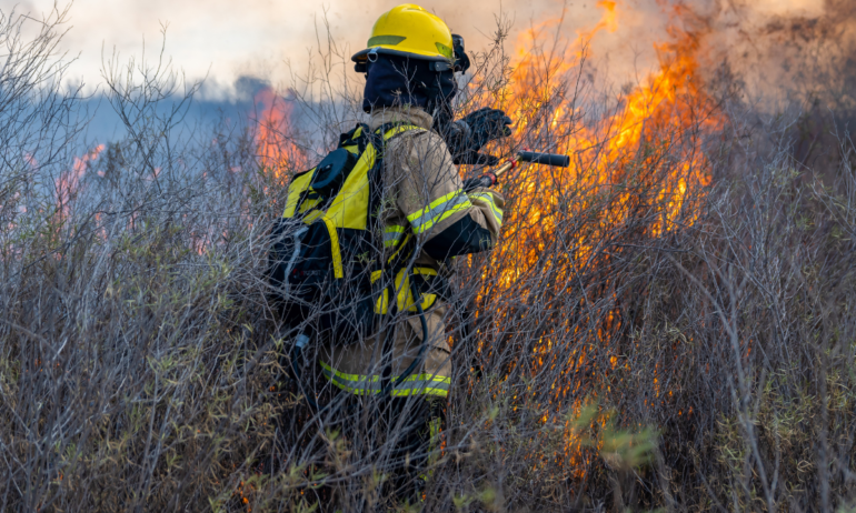 Incendios forestales activos han consumido 125 hectáreas en Veracruz