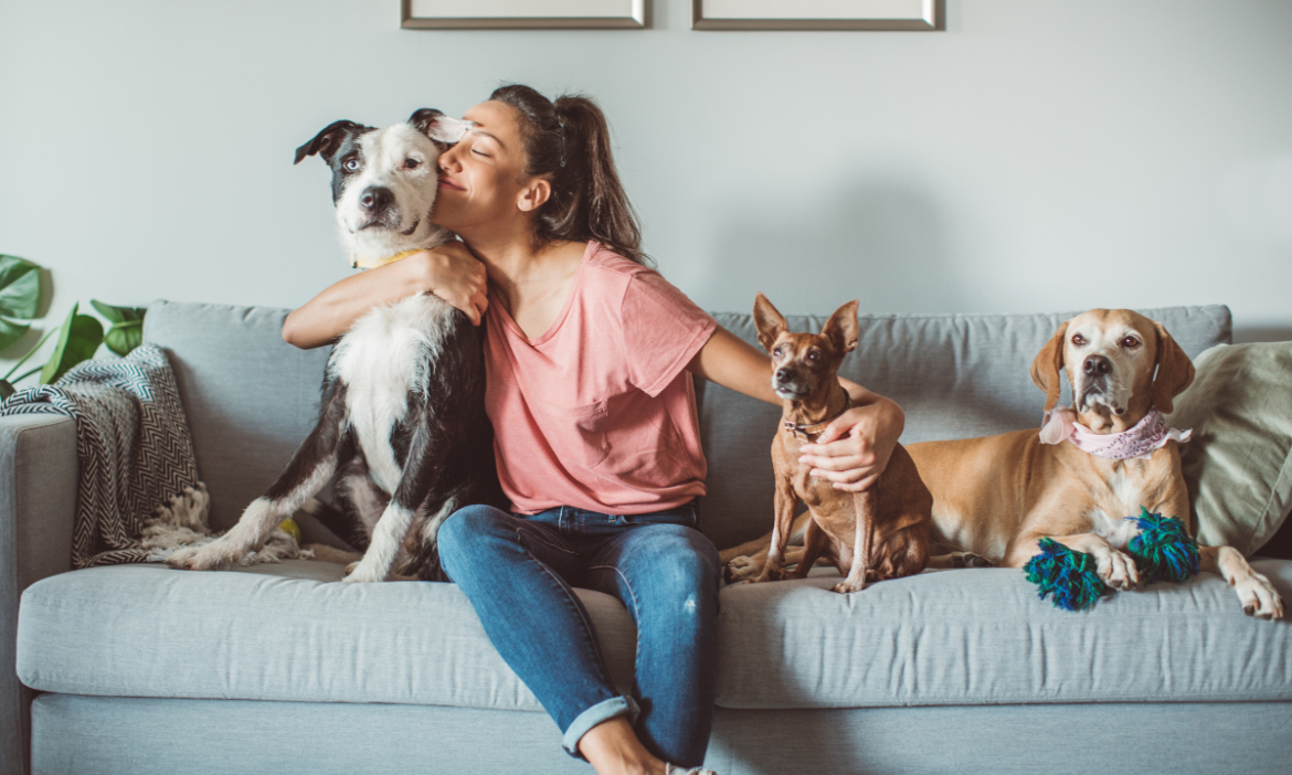 Interacción con perros impacta zona cerebral e induce respuestas emocionales positivas
