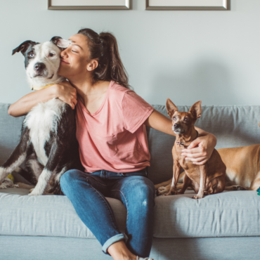 Interacción con perros impacta zona cerebral e induce respuestas emocionales positivas