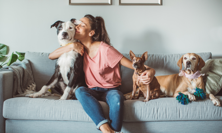 Interacción con perros impacta zona cerebral e induce respuestas emocionales positivas