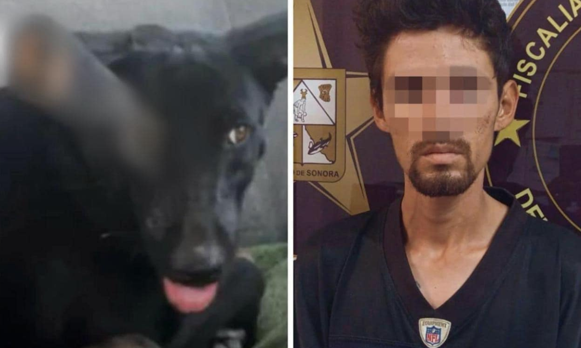 Condena de 2 años y 6 meses de prisión para agresor de “Negrita”