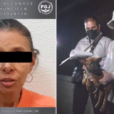 Mujer es detenida por maltrato animal, tenía 27 perros en condiciones de hacinamiento y desnutrición