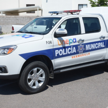 Aumentan de reportes por omisión de cuidados de mascotas en la Unepa