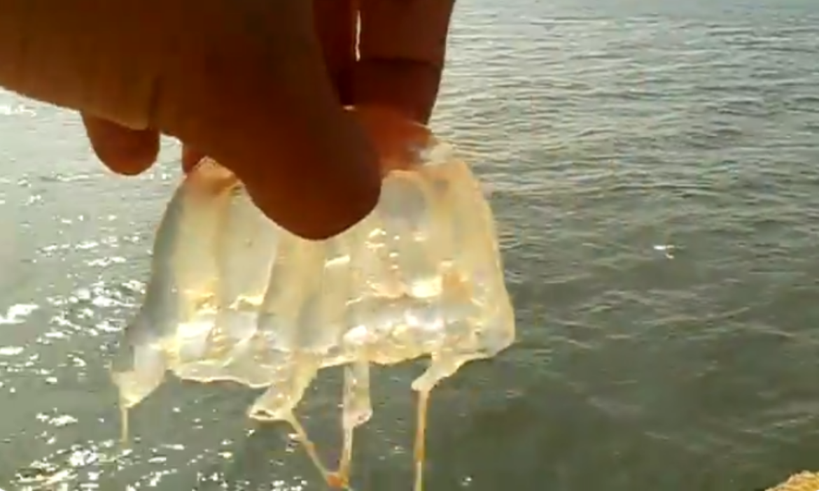 Aumentan picaduras de agua mala en Semana Santa en Hermosillo