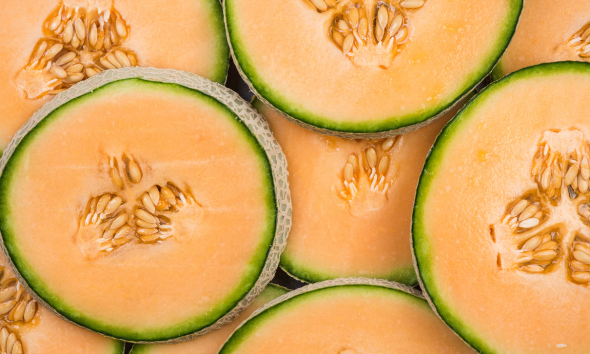 Reduce 90% la producción de melón cantaloupe en Sonora tras problema de salmonelosis