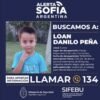 Alertan sobre la presencia de pumas en zona donde desapareció Loan