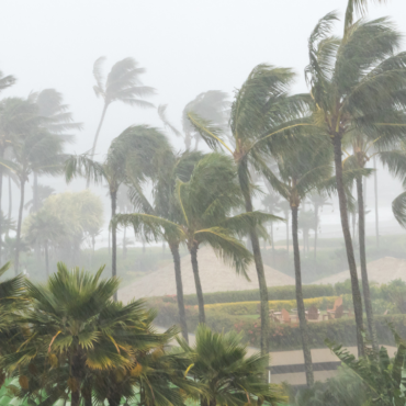 Ciclón del Pacífico no representa ningún peligro para Sonora: Conagua
