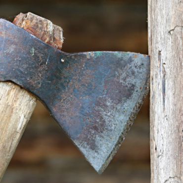 Tras presunto ataque psicótico, una mujer mata a su hijo de 6 años y a su perro con un hacha; también hirió a un guardia de seguridad