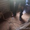 Niño muere al pisar un cable de su casa por una instalación improvisada