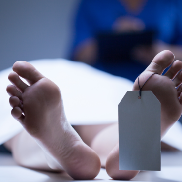 Hermosillo: Encuentran a hombre suspendido sin vida de un árbol al sur de la ciudad