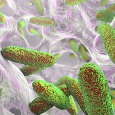 Al menos 13 niños muertos en México por supuesto contagio con la bacteria ‘Klebsiella oxytoca’